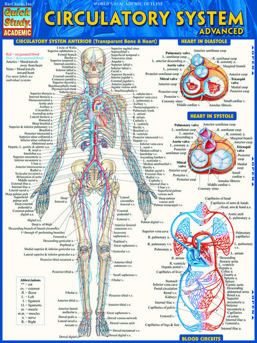 Title details for Circulatory System Advanced by BarCharts, Inc. - Available